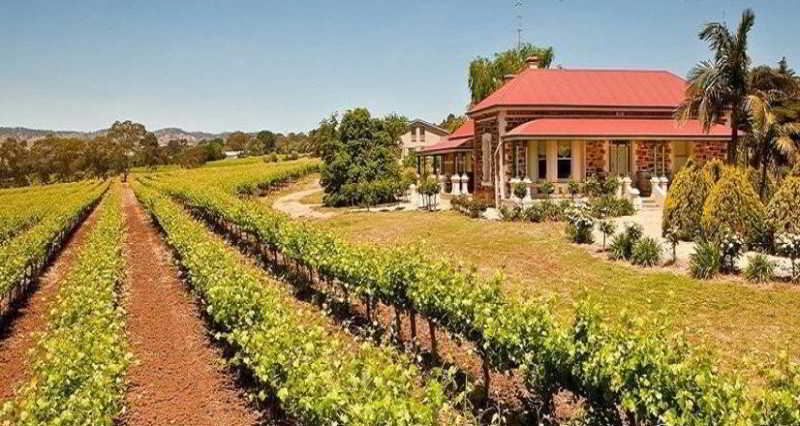 Barossa Shiraz Estate Villa Lyndoch ภายนอก รูปภาพ